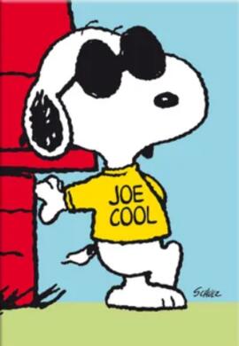 Snoopy Flow